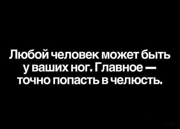 FB_IMG_1714234159200.webp