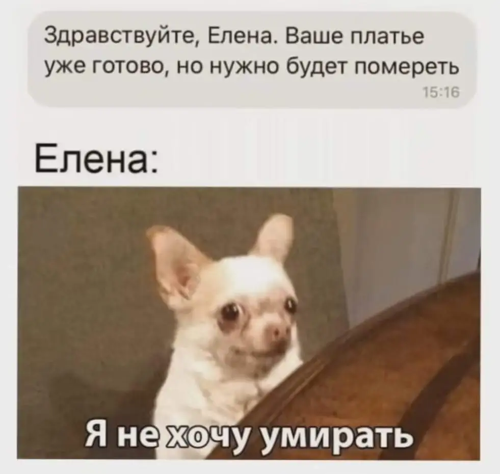 FB_IMG_1714299451875.webp