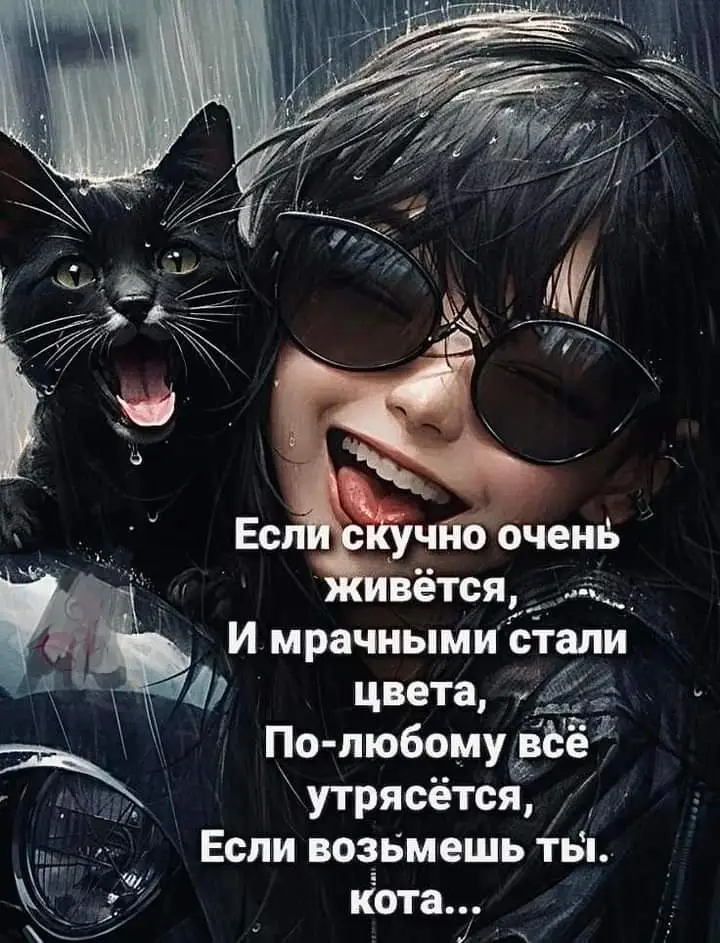 FB_IMG_1714382743769.webp
