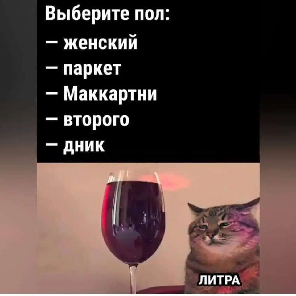 FB_IMG_1714834436911.webp