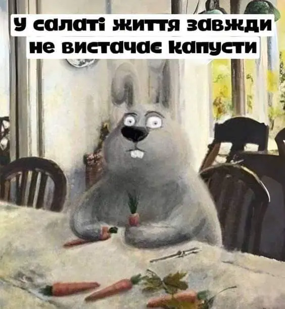 FB_IMG_1714845494483.webp