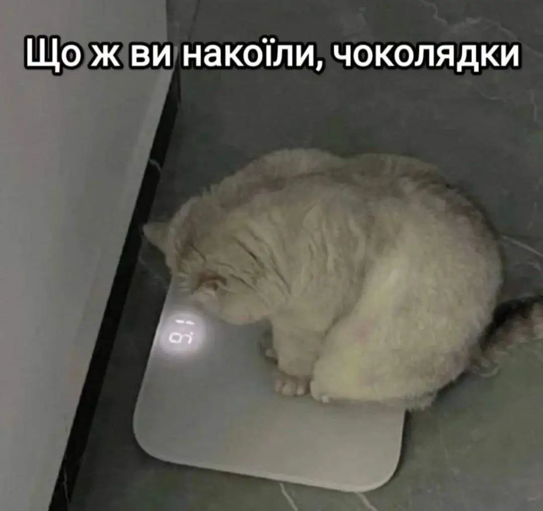 FB_IMG_1715083978352.webp