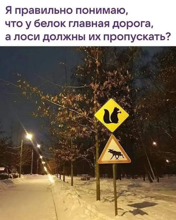 FB_IMG_1715109702838.webp
