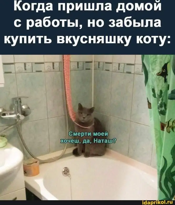 FB_IMG_1715772765712.webp