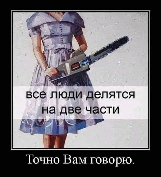 FB_IMG_1716222678710.webp