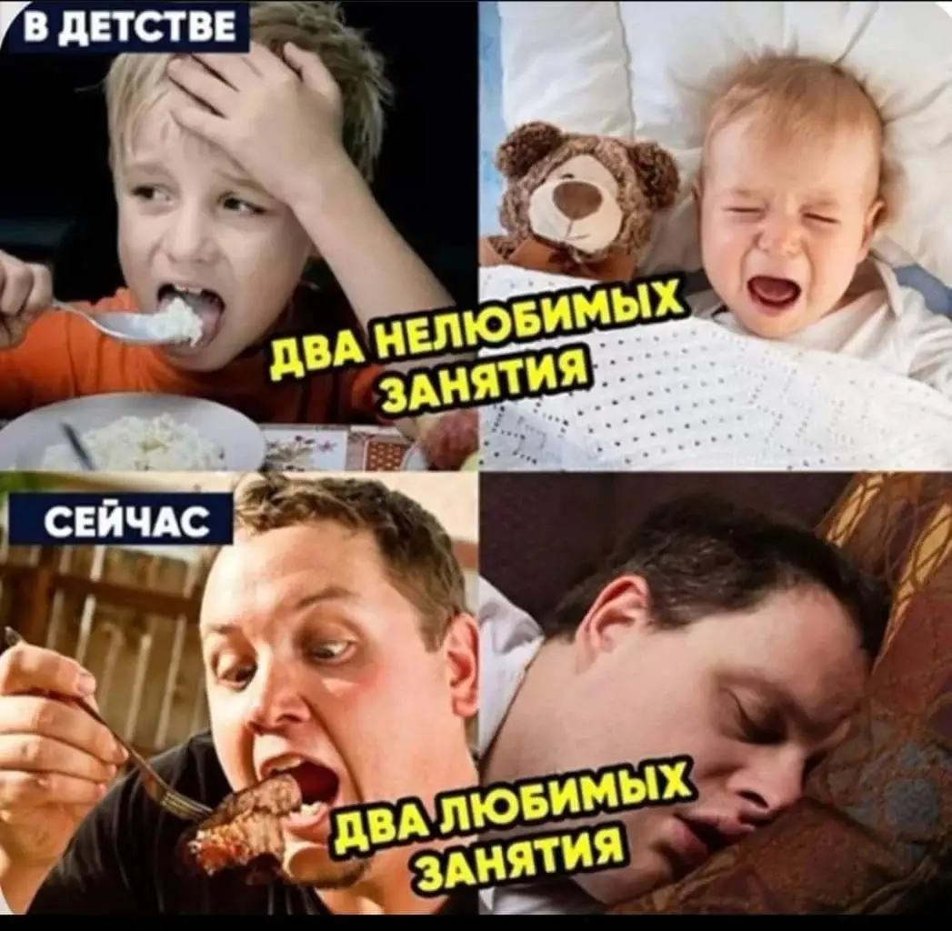 FB_IMG_1716389251593.webp