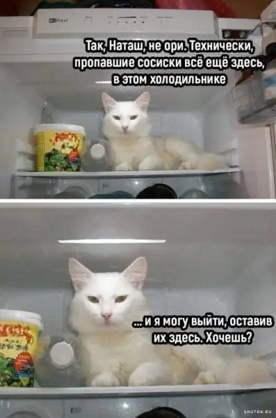 FB_IMG_1717227648452.webp