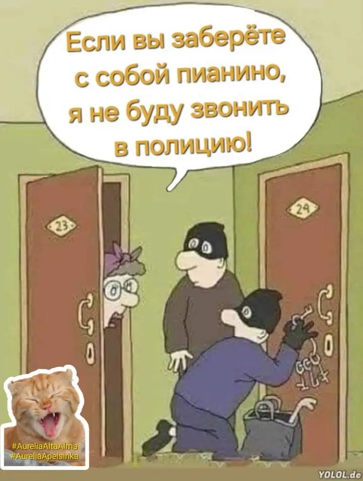 FB_IMG_1717502085782.webp
