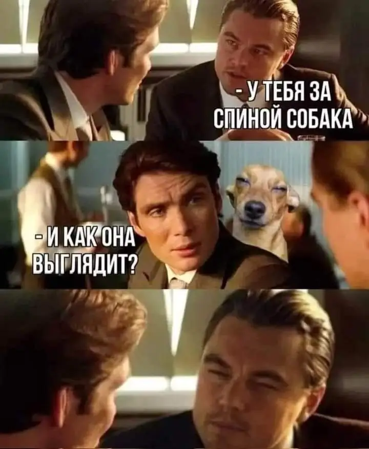 FB_IMG_1717754365537.webp