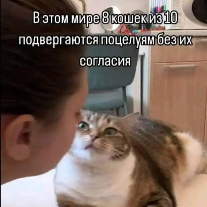 FB_IMG_1720356777377.webp