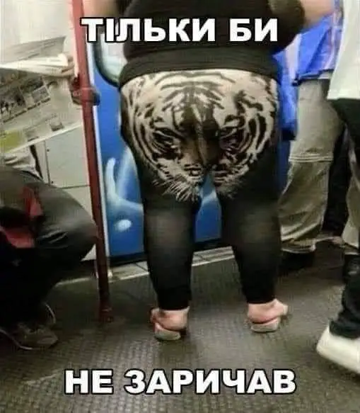 FB_IMG_1721596266885.webp