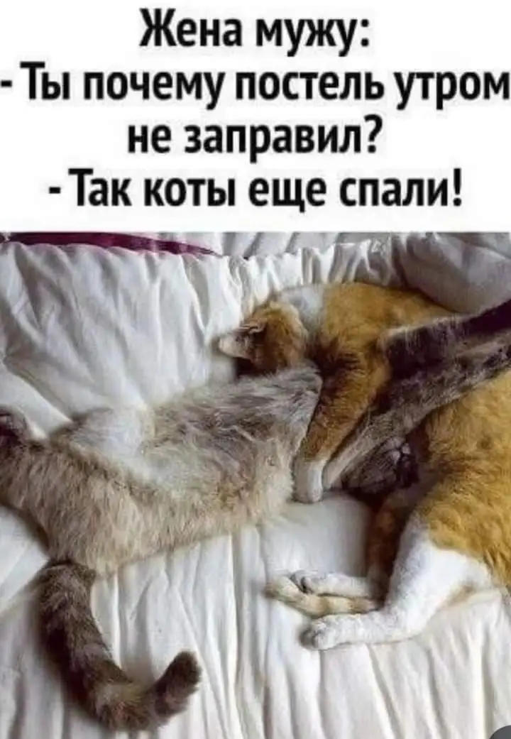 FB_IMG_1722107224235.webp