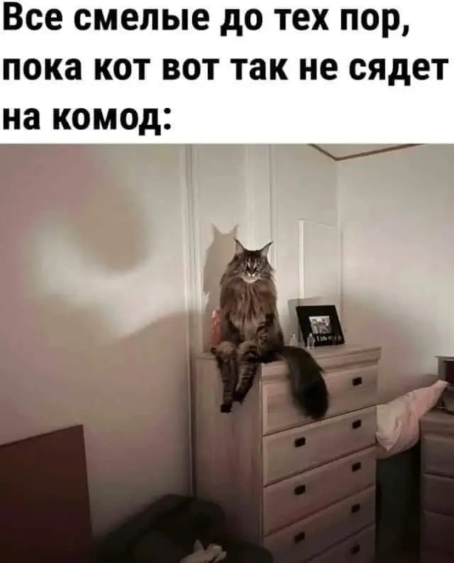 FB_IMG_1722454911789.webp