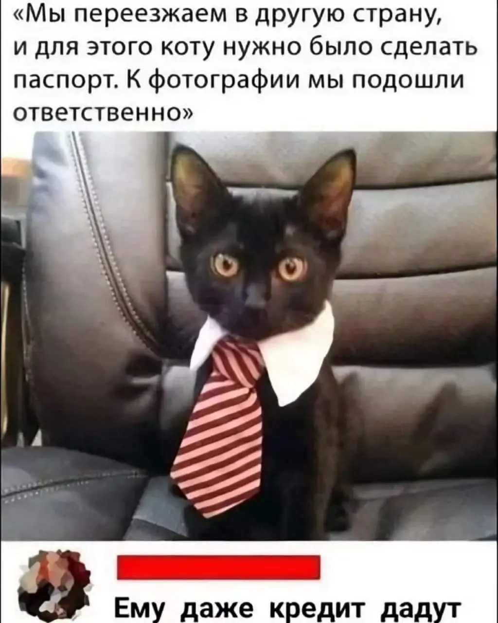 FB_IMG_1722701809332.webp