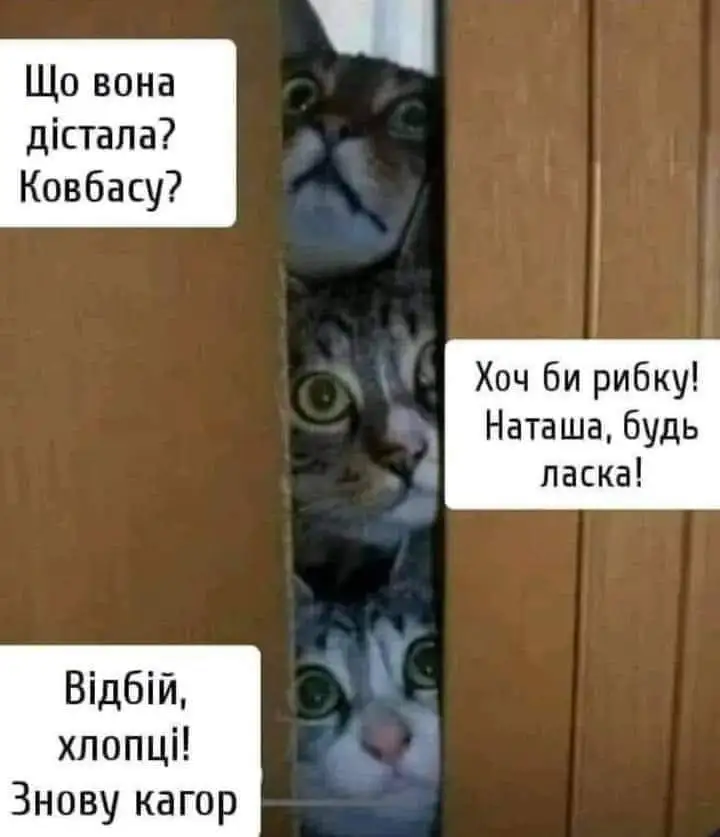 FB_IMG_1723406355430.webp