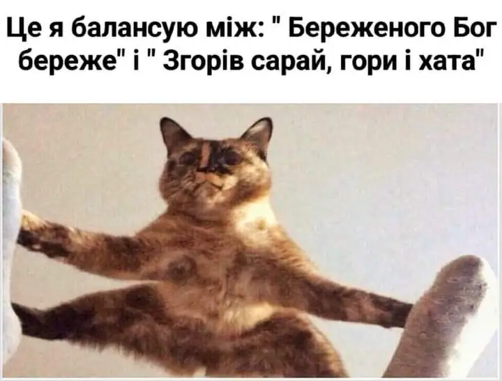 FB_IMG_1723836560935.webp