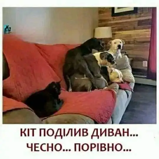 FB_IMG_1724473759493.webp