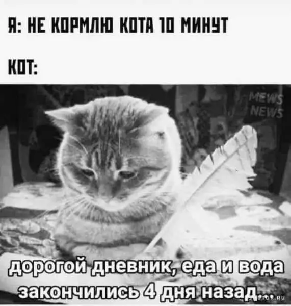 FB_IMG_1724521444674.webp