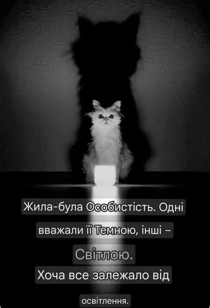 FB_IMG_1725303046134.webp