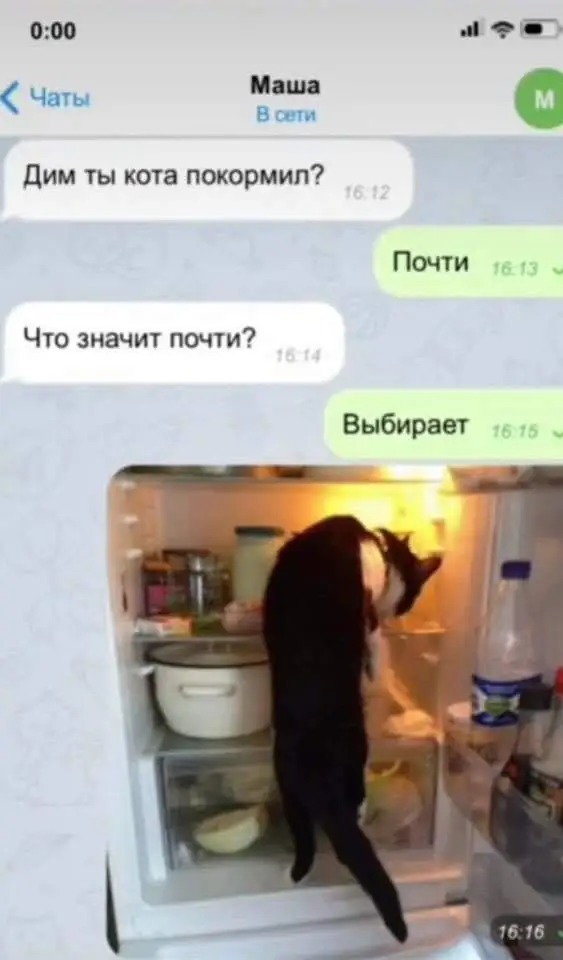 FB_IMG_1726425487558.webp