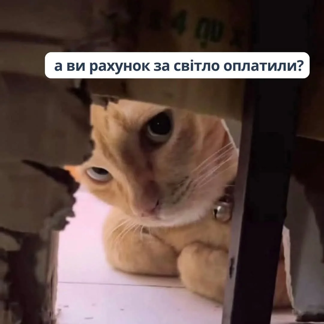 FB_IMG_1773604521883.webp