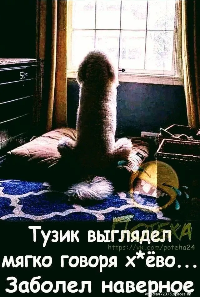 Fba6613c574abeda55ad30a923ac1075-world11.spcs.bio.webp