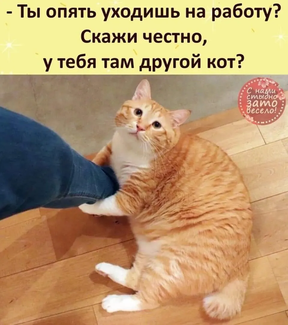 FBDAE194-E459-4892-B06F-C60878DA31EB.webp
