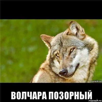 fe8c25c7ab3a.webp