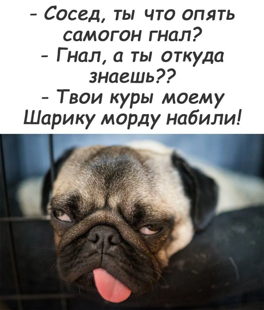 file_93822282-world7.spcs.bio.webp