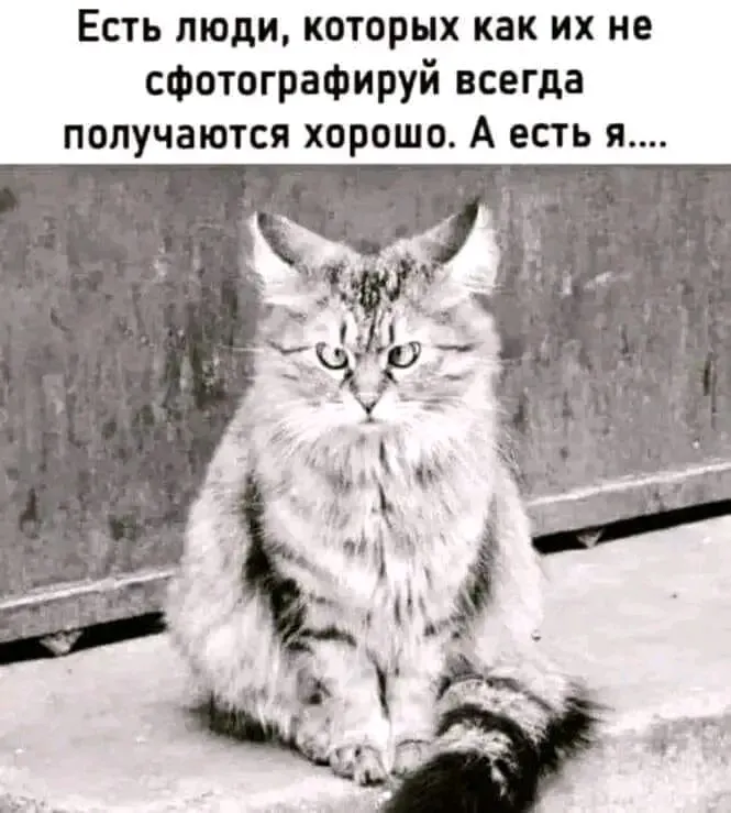 file_95778564-world66.spcs.bio.webp