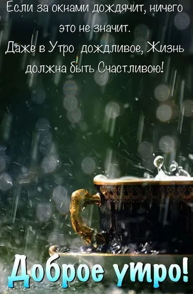 foto-13-dazhe-v-utro-dozhdlivoe-zhizn-dolzhna-byt-schastlivoyu.webp