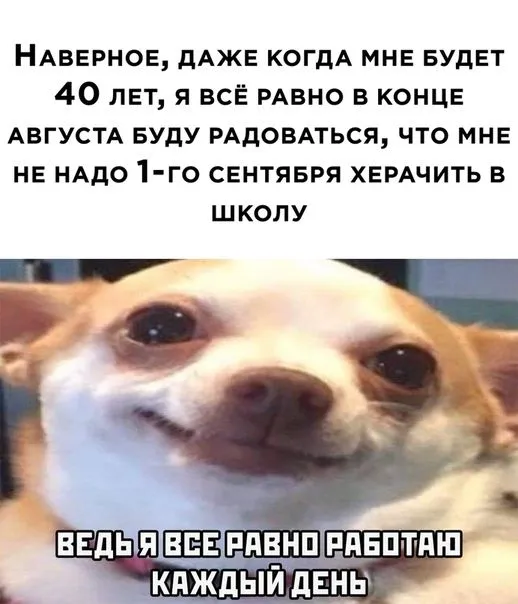 GaLlM45vKJY.webp