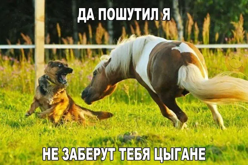gFkGUBONyus.webp