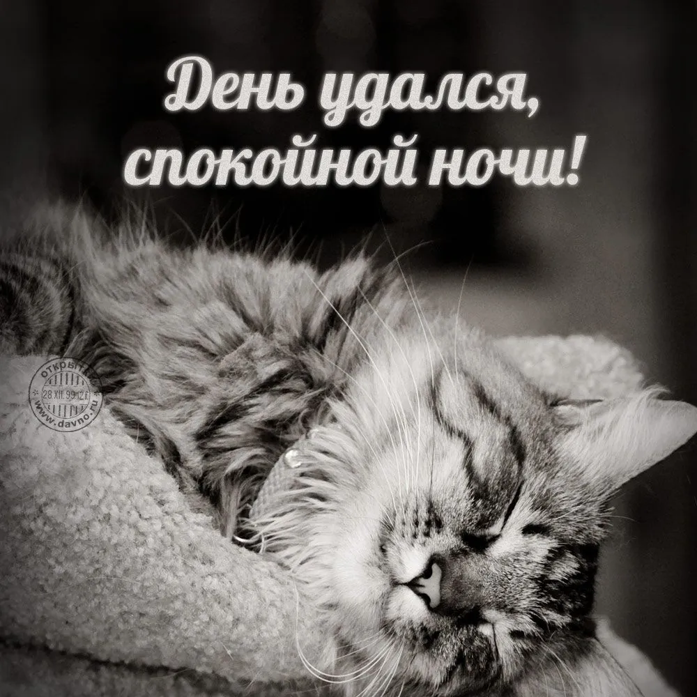 goodnight-32.webp
