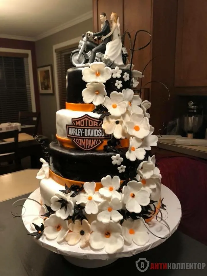 Harley Davidson.webp