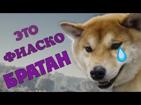 hqdefault (1!!!!).webp