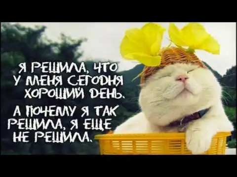 hqdefault.webp