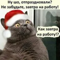 i (1).webp