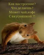 i (11).webp
