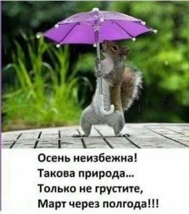 i (20).webp