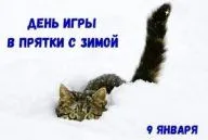 i (3).webp