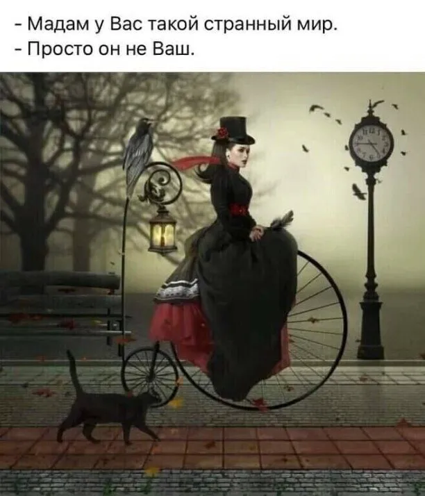 i (35).webp