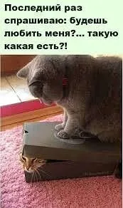 i (55).webp