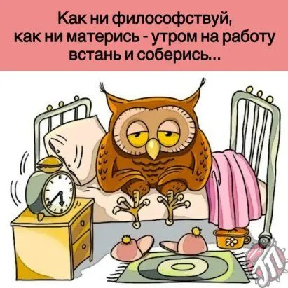 i (6).webp