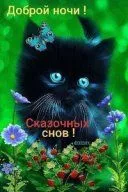 i (60).webp