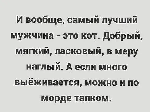 i (9).webp