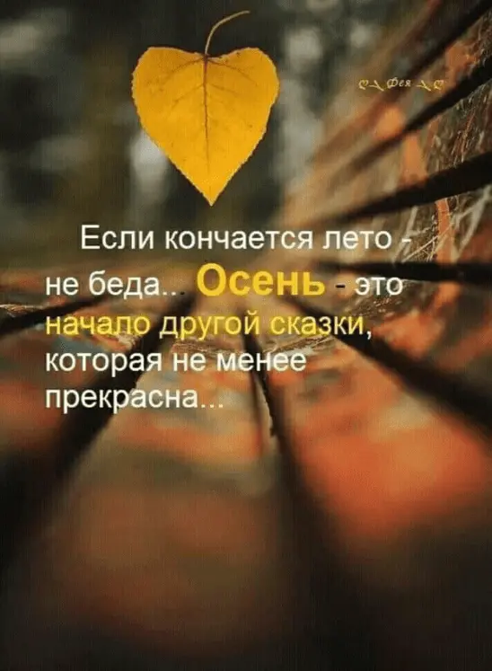 i.webp