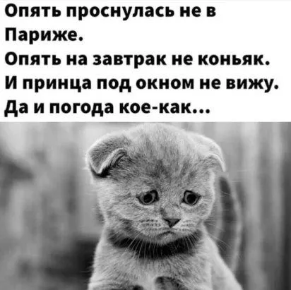 i.webp