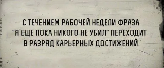 іфвфів.webp