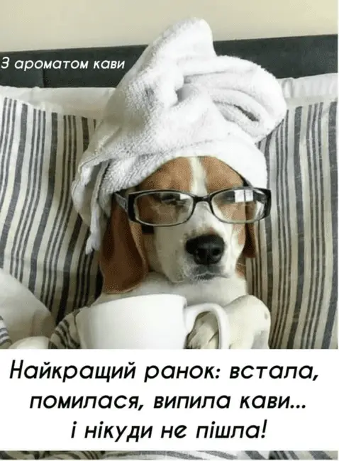 image(4).webp